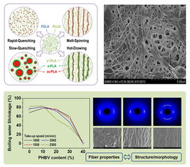 寧波材料所生物基化學(xué)纖維制備技術(shù)研究獲系列進(jìn)展