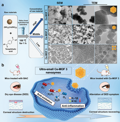 干眼治療新路徑!復(fù)旦團(tuán)隊(duì)研發(fā)納米酶"刷"掉過量眼表活性氧