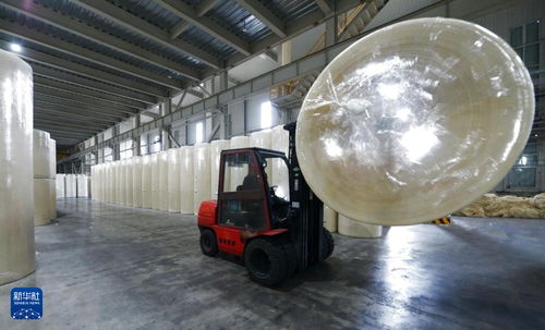 黑龍江大慶打造生物基新材料產業基地