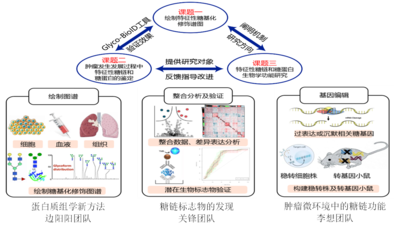 我校5人獲省杰青項目資助、4支團隊入選省重點科技創新團隊