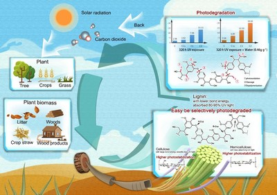 竹子中心在戶外竹基復合材料研發(fā)和生物質材料光降解機理方面取得新突破