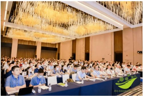 dt新材料 拼搏的2020,進擊的2021